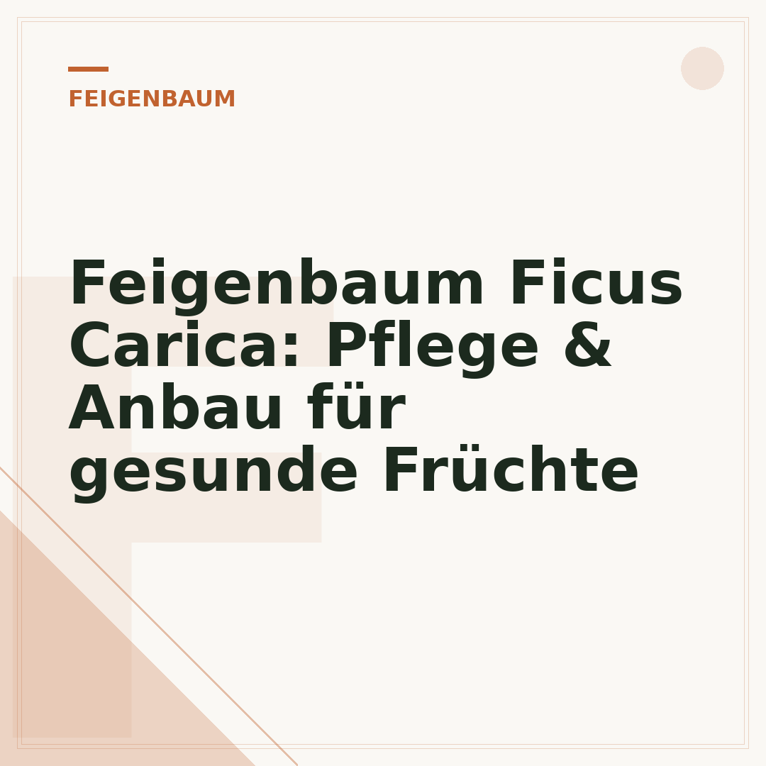 Feigenbaum Ficus Carica: Pflege & Anbau für gesunde Früchte