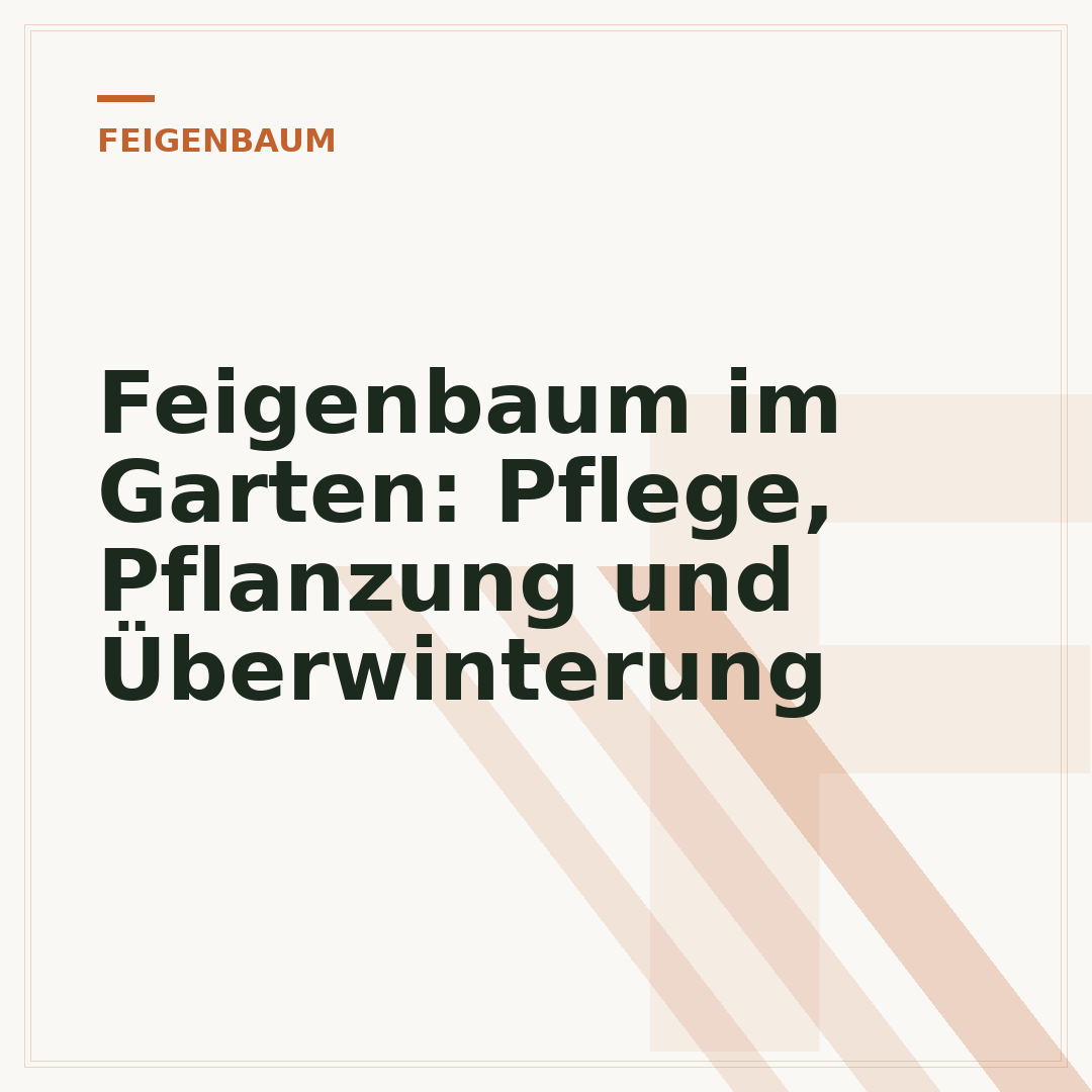 Feigenbaum im Garten: Pflege, Pflanzung und Überwinterung