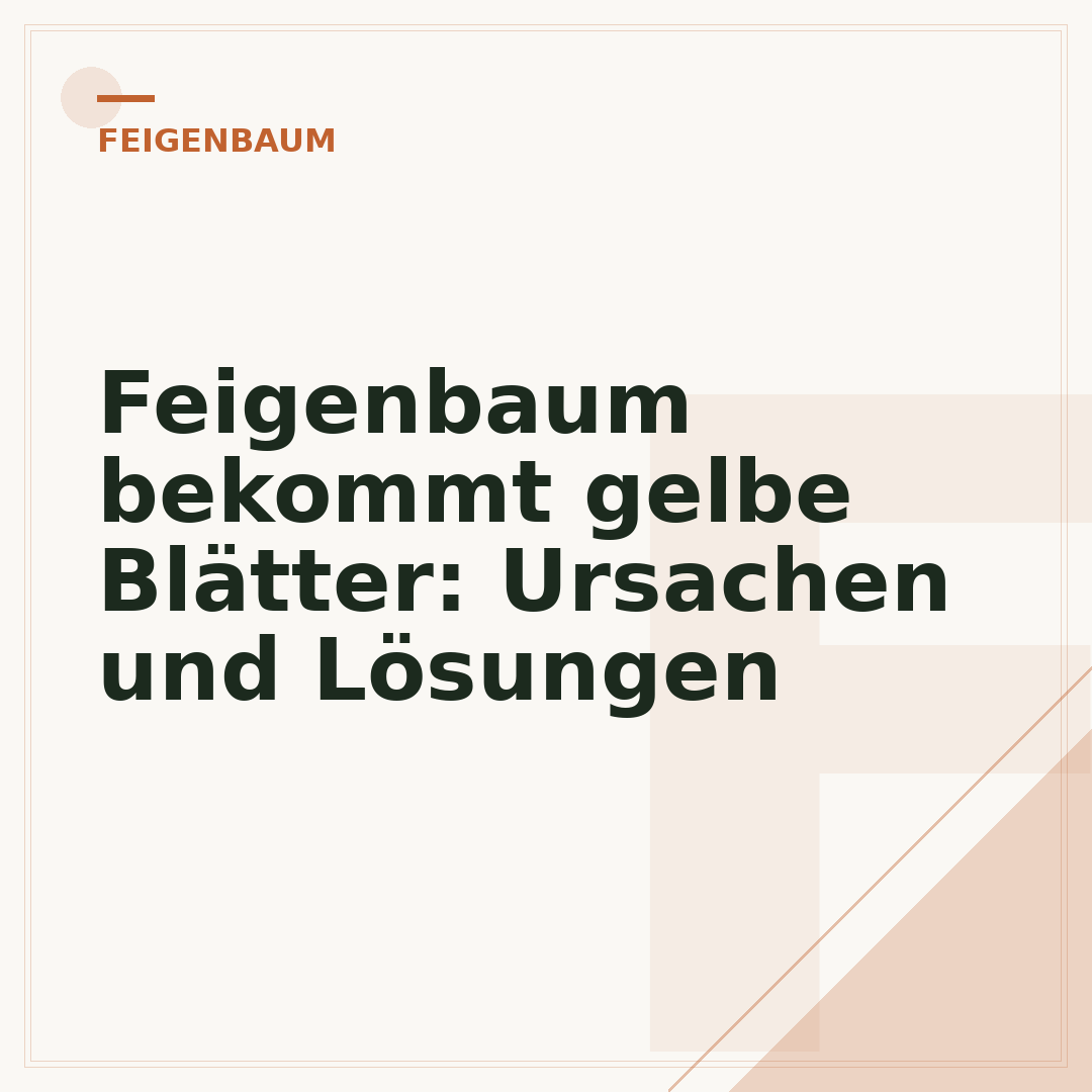 Feigenbaum bekommt gelbe Blätter: Ursachen und Lösungen