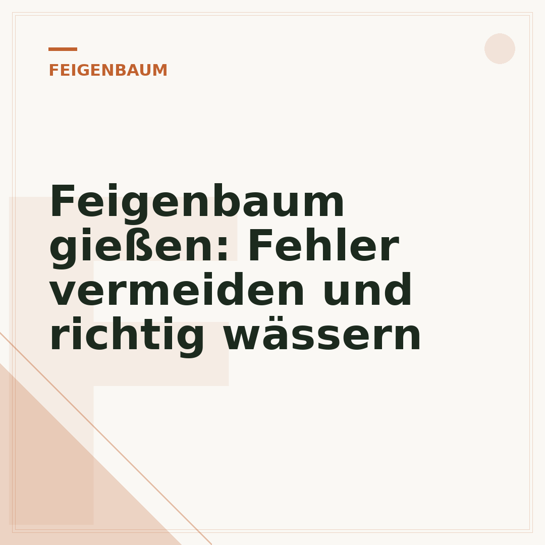 Feigenbaum gießen: Fehler vermeiden und richtig wässern