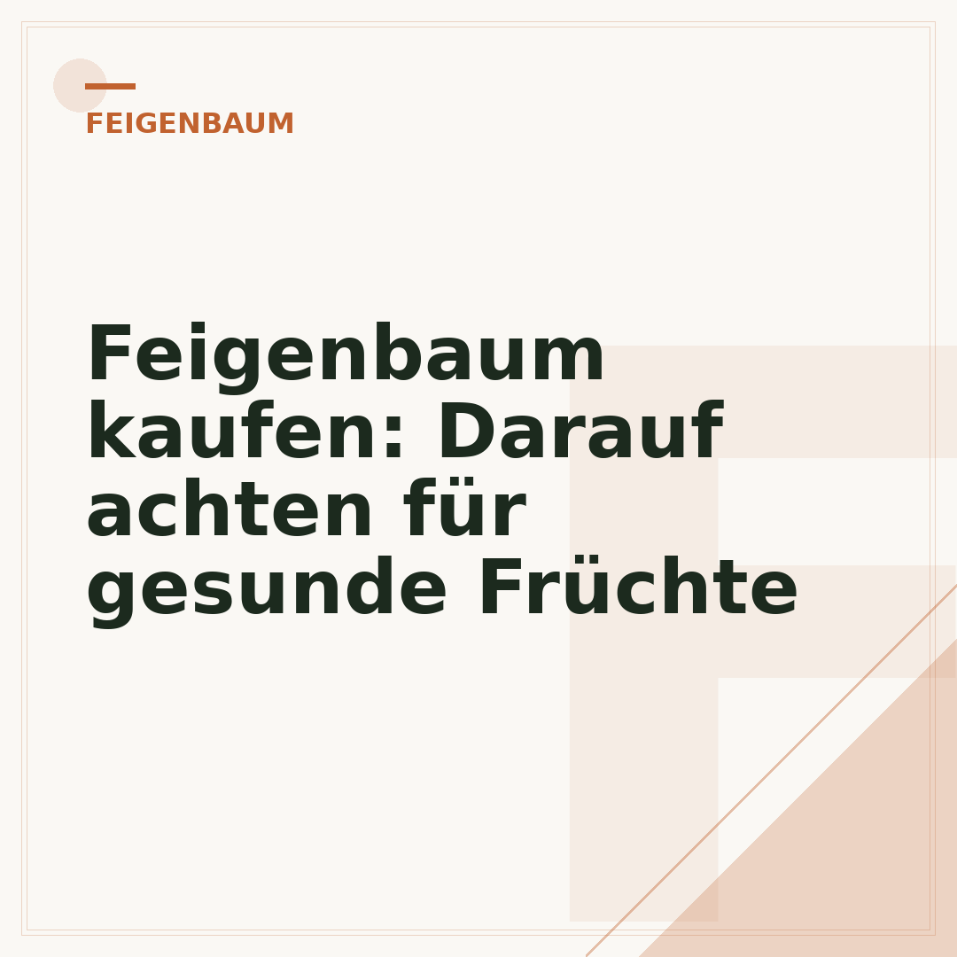 Feigenbaum kaufen: Darauf achten für gesunde Früchte