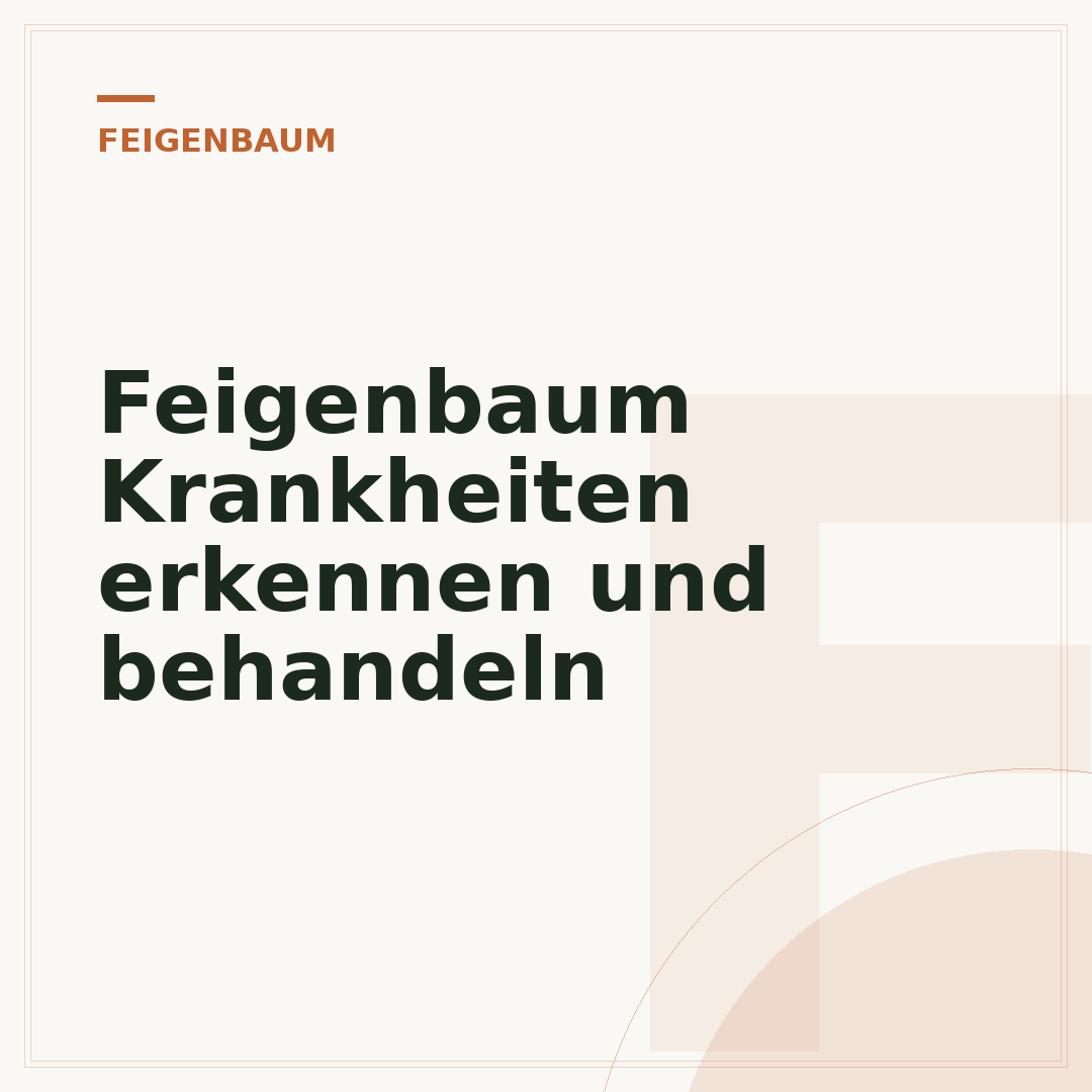 Feigenbaum Krankheiten erkennen und behandeln