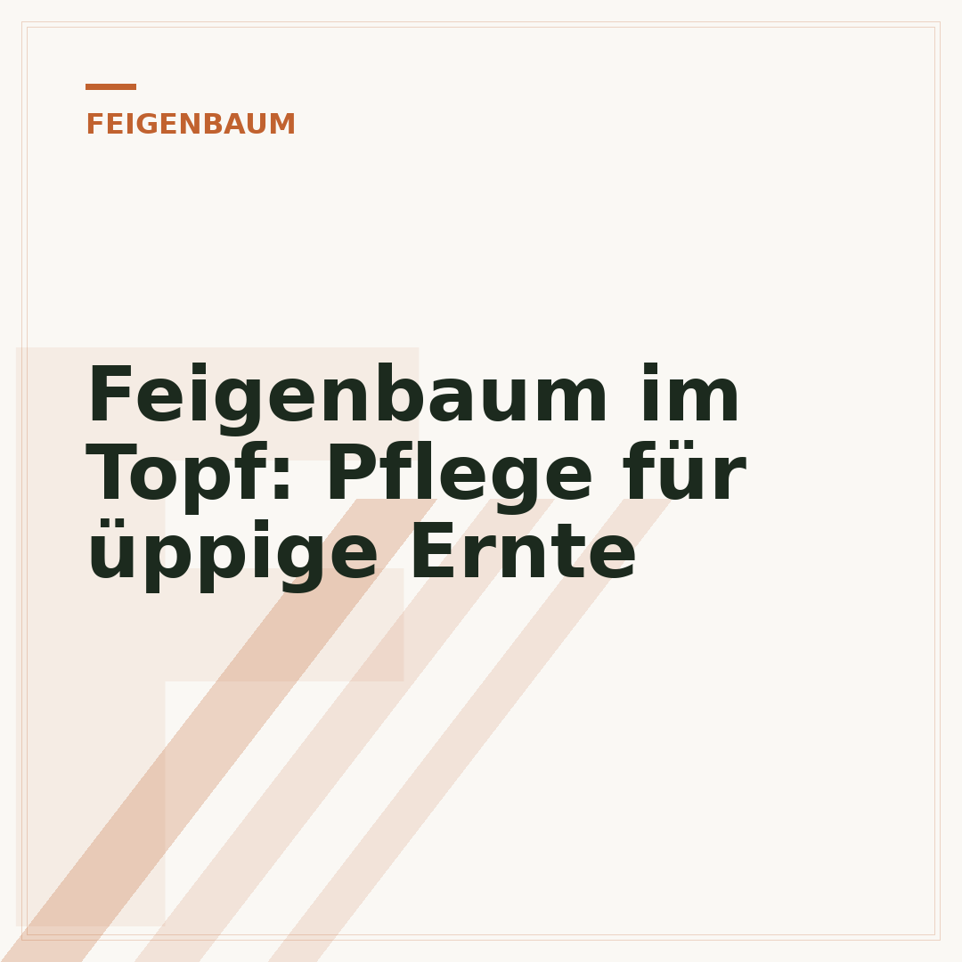 Feigenbaum im Topf: Pflege für üppige Ernte