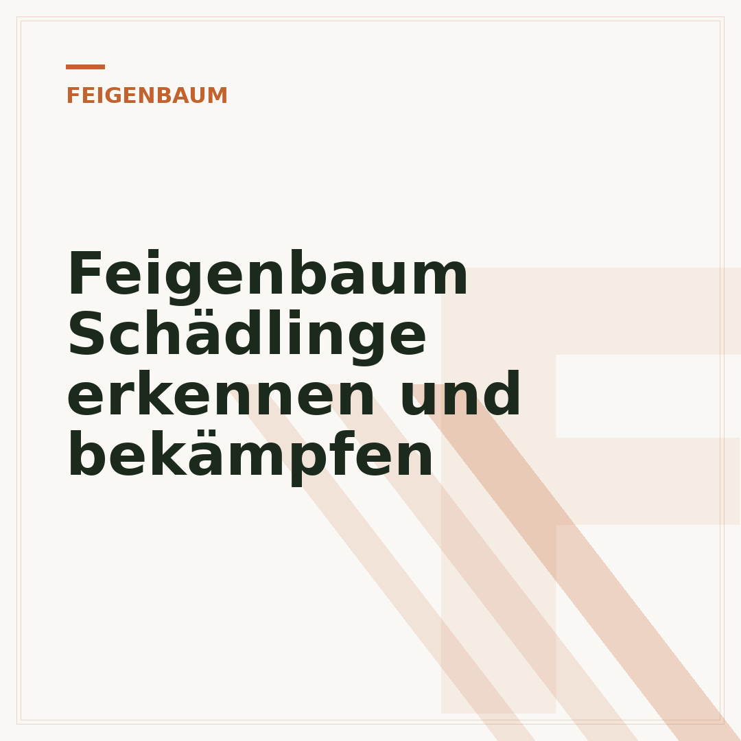 Feigenbaum Schädlinge erkennen und bekämpfen