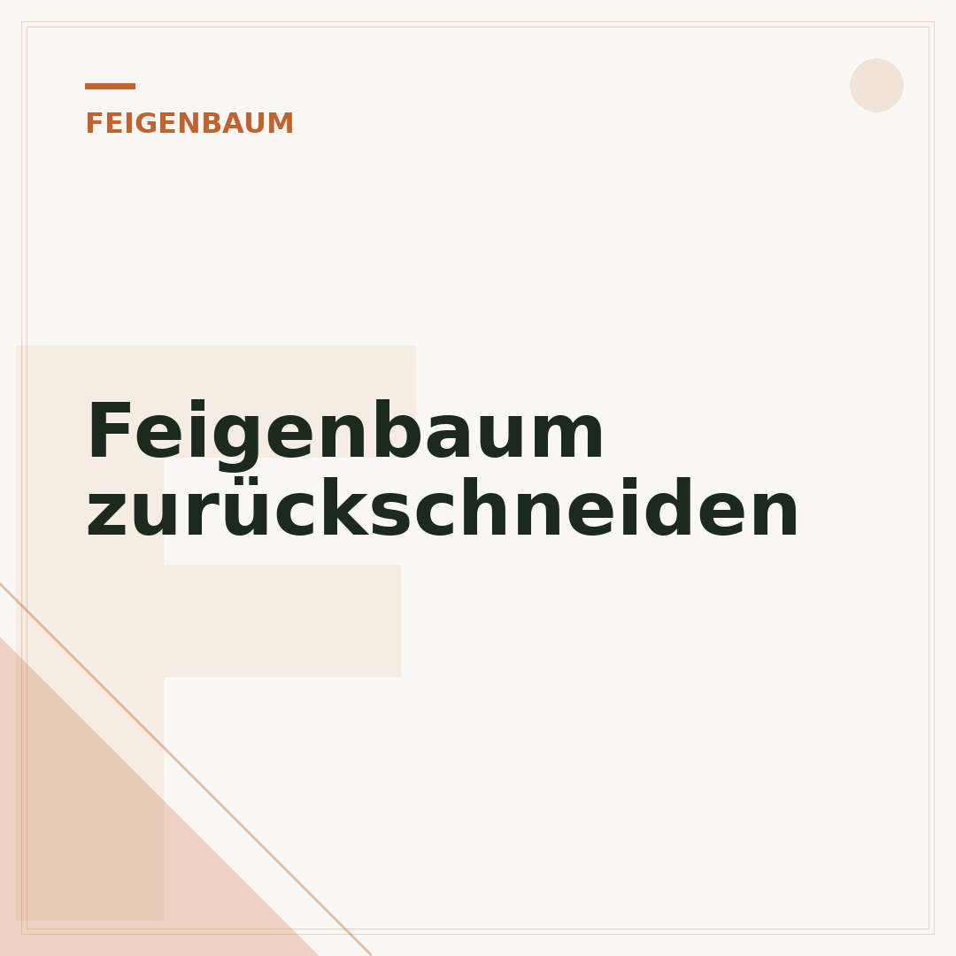 Feigenbaum zurückschneiden