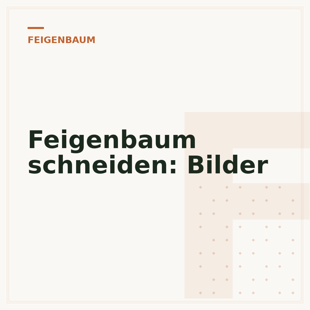 Feigenbaum schneiden: Bilder