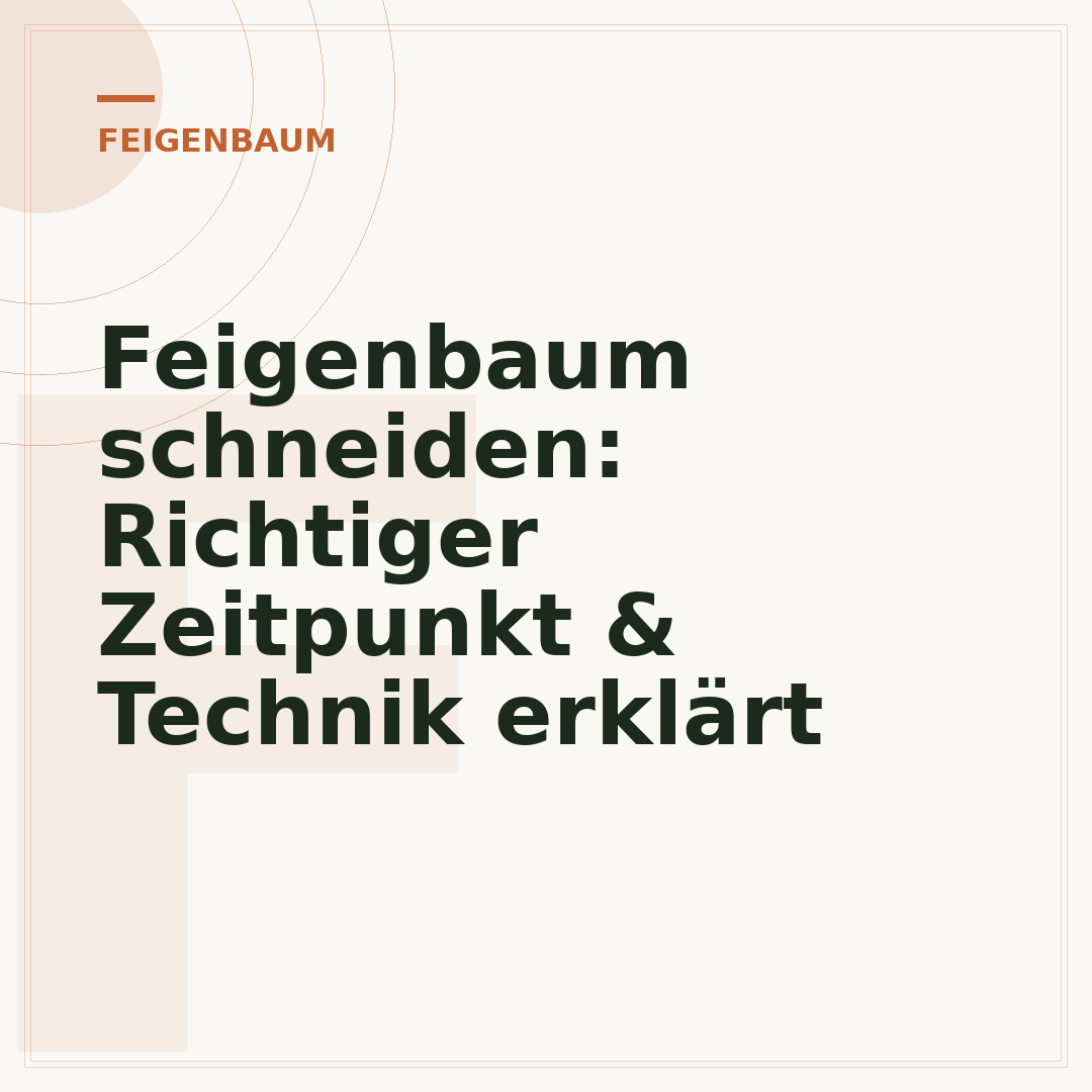 Feigenbaum schneiden: Richtiger Zeitpunkt & Technik erklärt