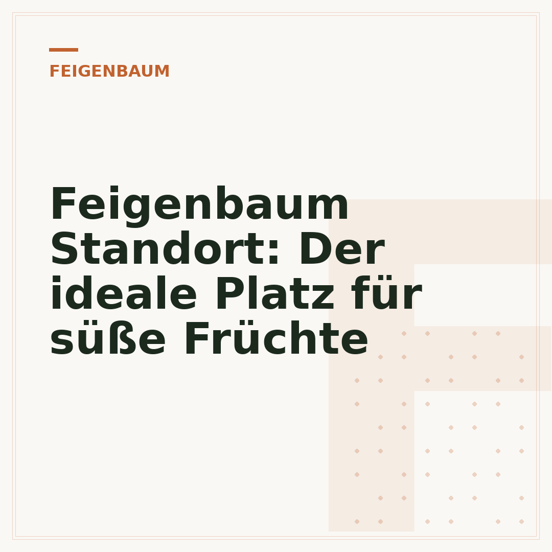 Feigenbaum Standort: Der ideale Platz für süße Früchte