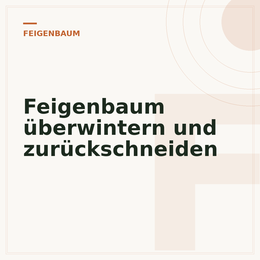 Feigenbaum überwintern und zurückschneiden