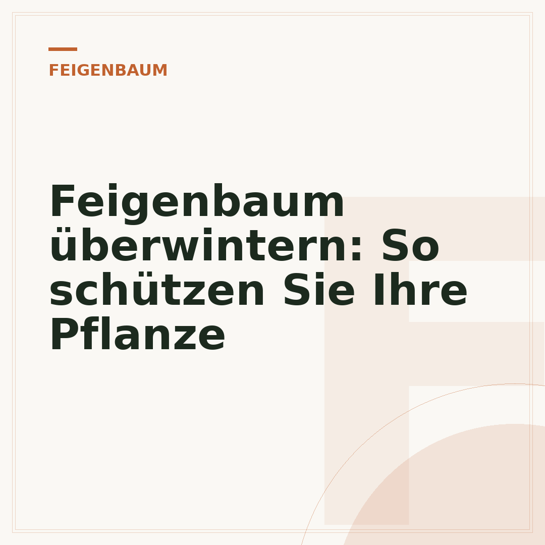 Feigenbaum überwintern: So schützen Sie Ihre Pflanze