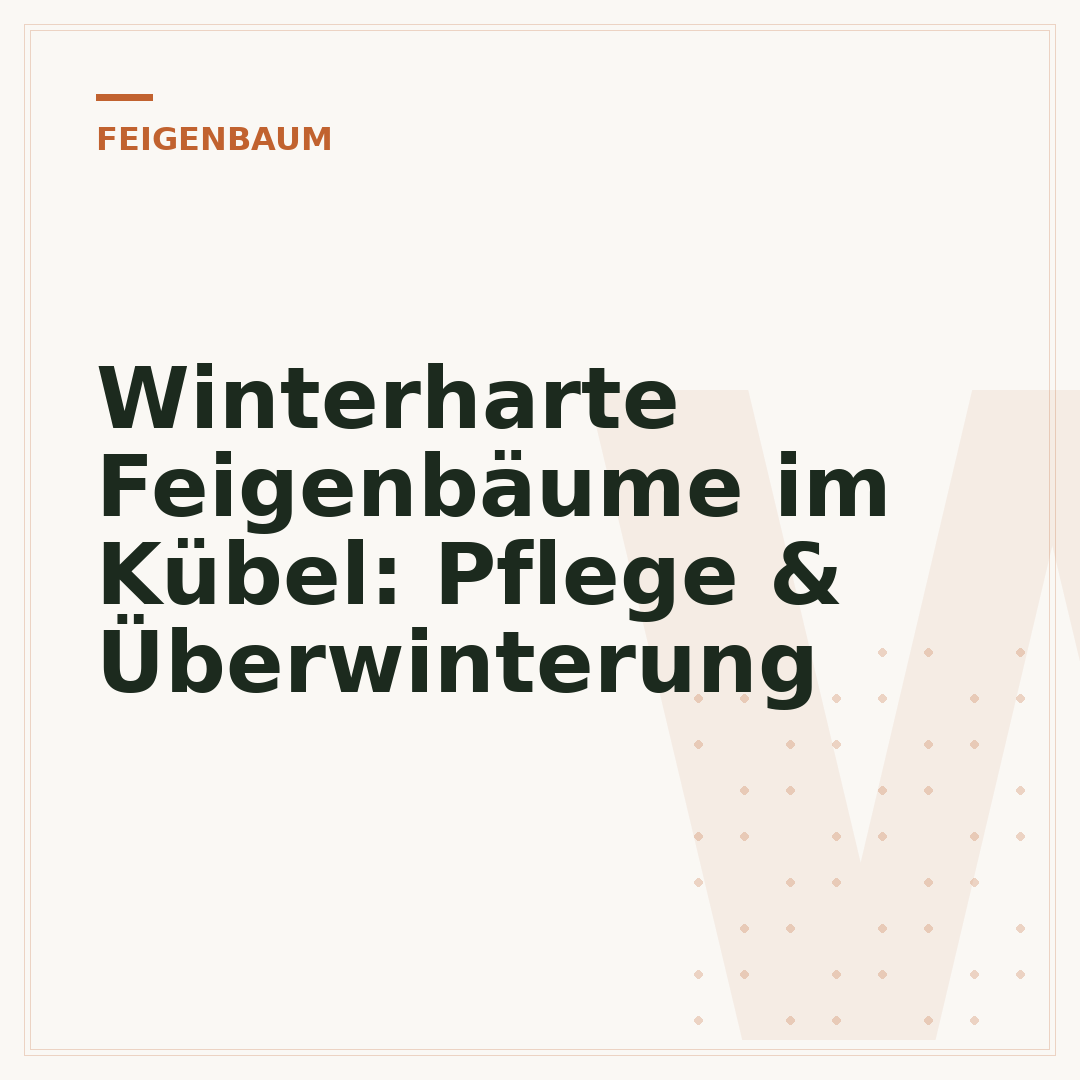 Winterharte Feigenbäume im Kübel: Pflege & Überwinterung