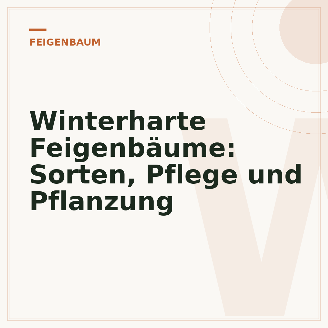 Winterharte Feigenbäume: Sorten, Pflege und Pflanzung