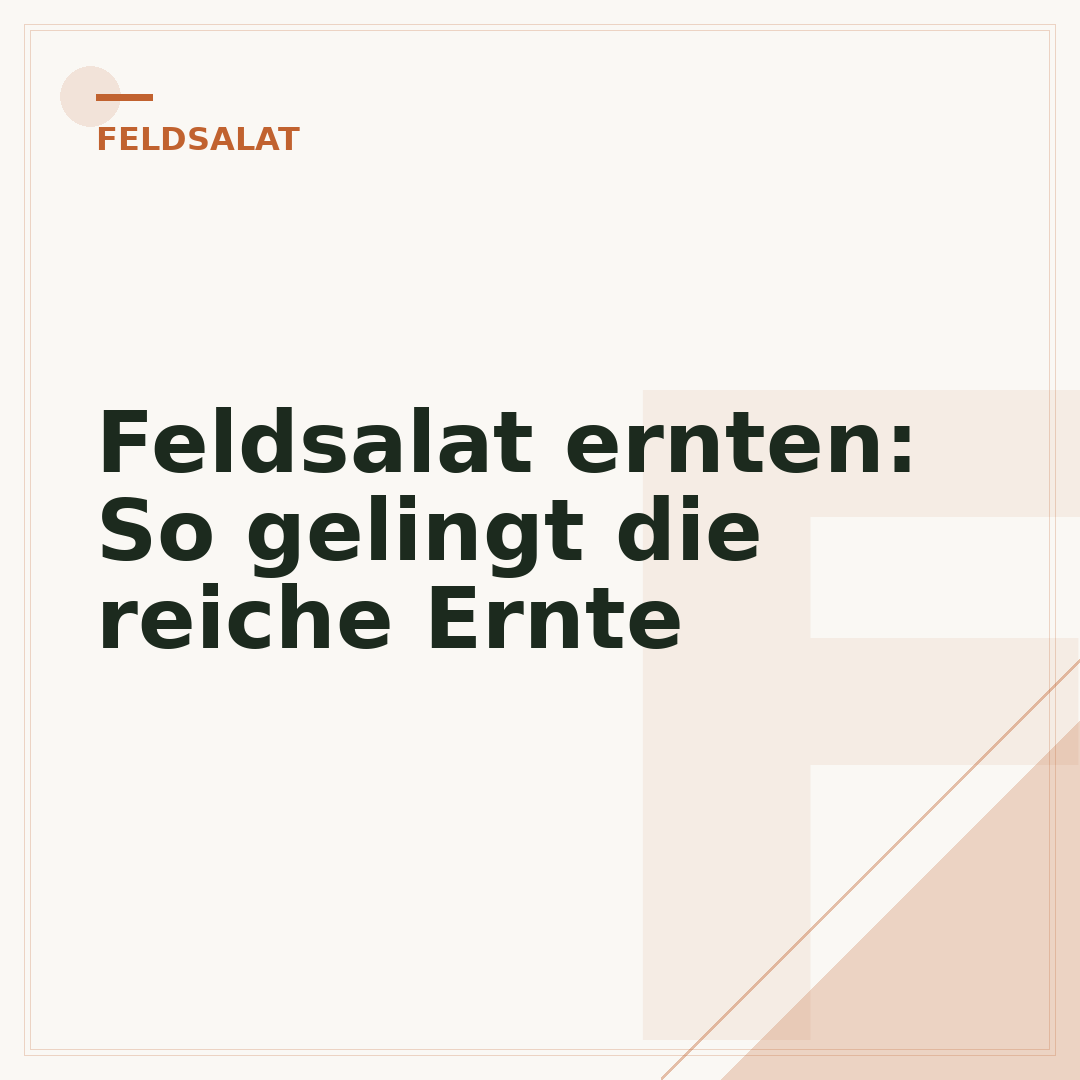 Feldsalat ernten: So gelingt die reiche Ernte