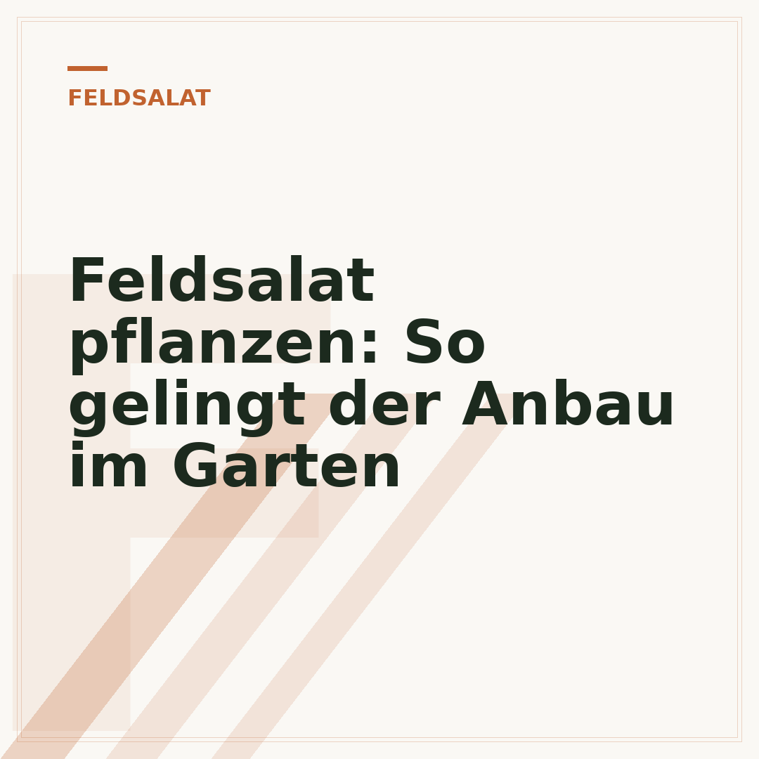 Feldsalat pflanzen: So gelingt der Anbau im Garten