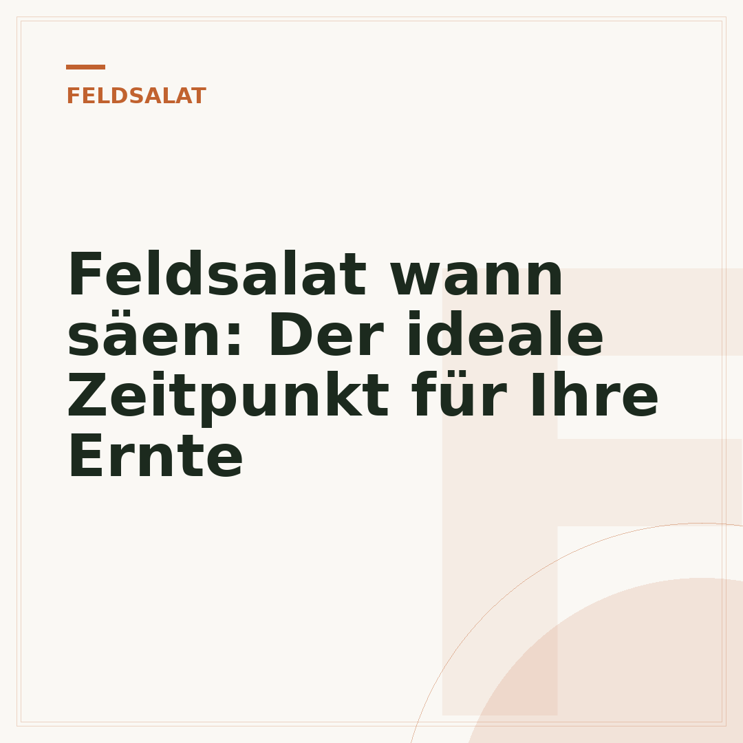 Feldsalat wann säen: Der ideale Zeitpunkt für Ihre Ernte