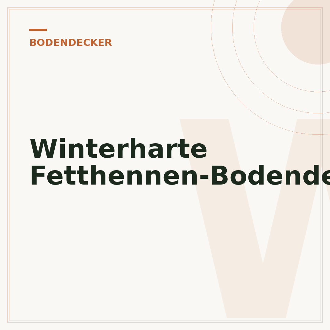Winterharte Fetthennen-Bodendecker