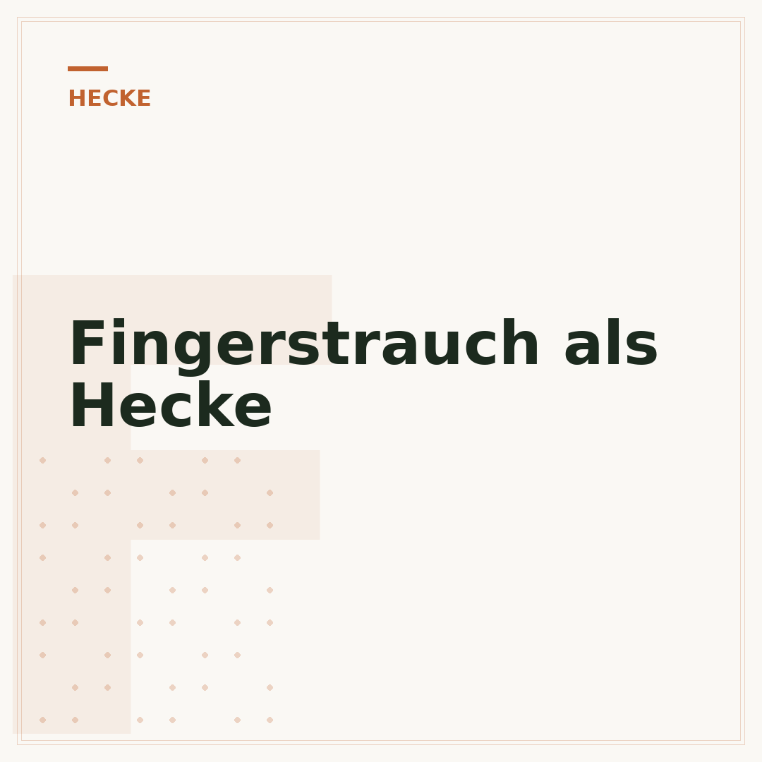 Fingerstrauch als Hecke