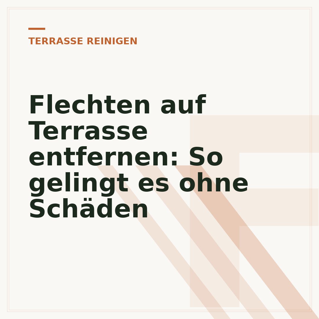 Flechten auf Terrasse entfernen: So gelingt es ohne Schäden