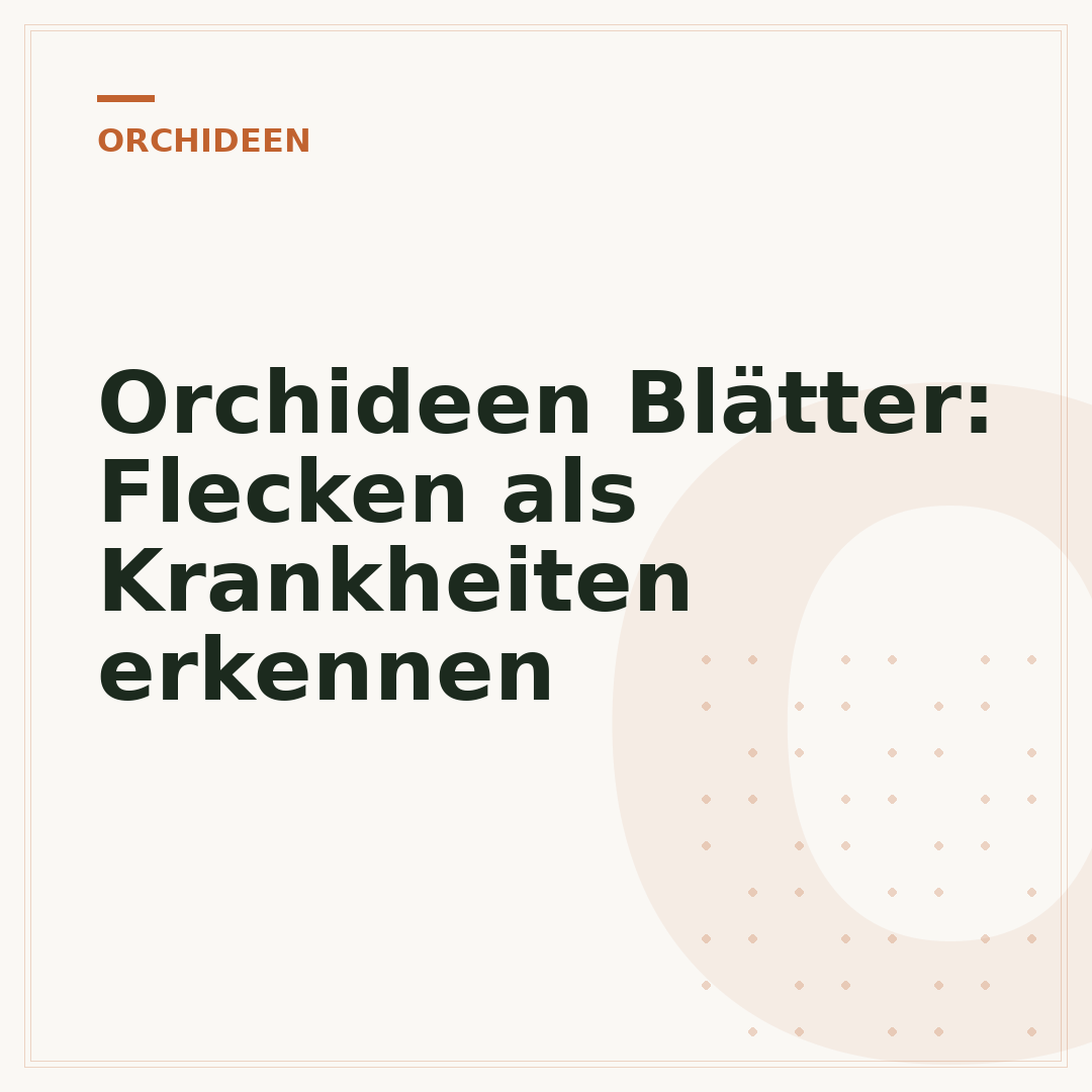 Orchideen Blätter: Flecken als Krankheiten erkennen
