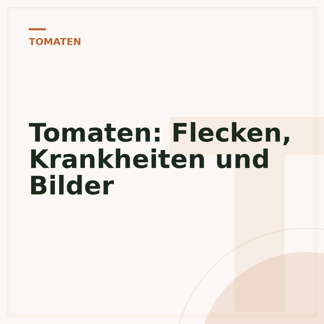 Tomaten: Flecken, Krankheiten und Bilder