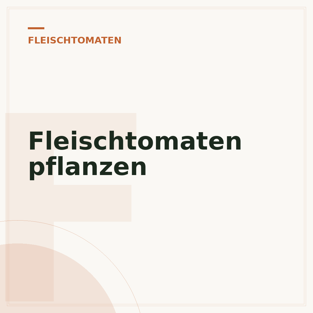 Fleischtomaten pflanzen