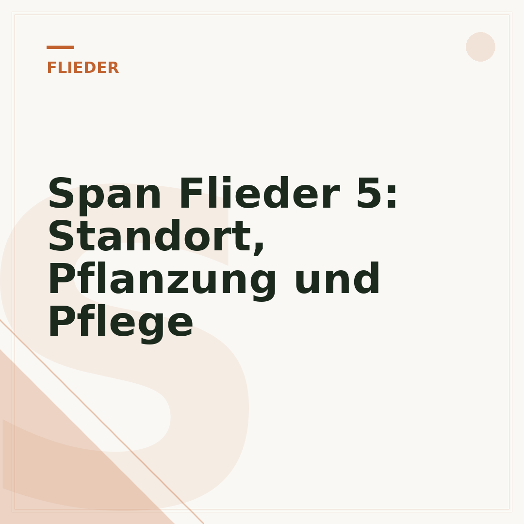 Span Flieder 5: Standort, Pflanzung und Pflege