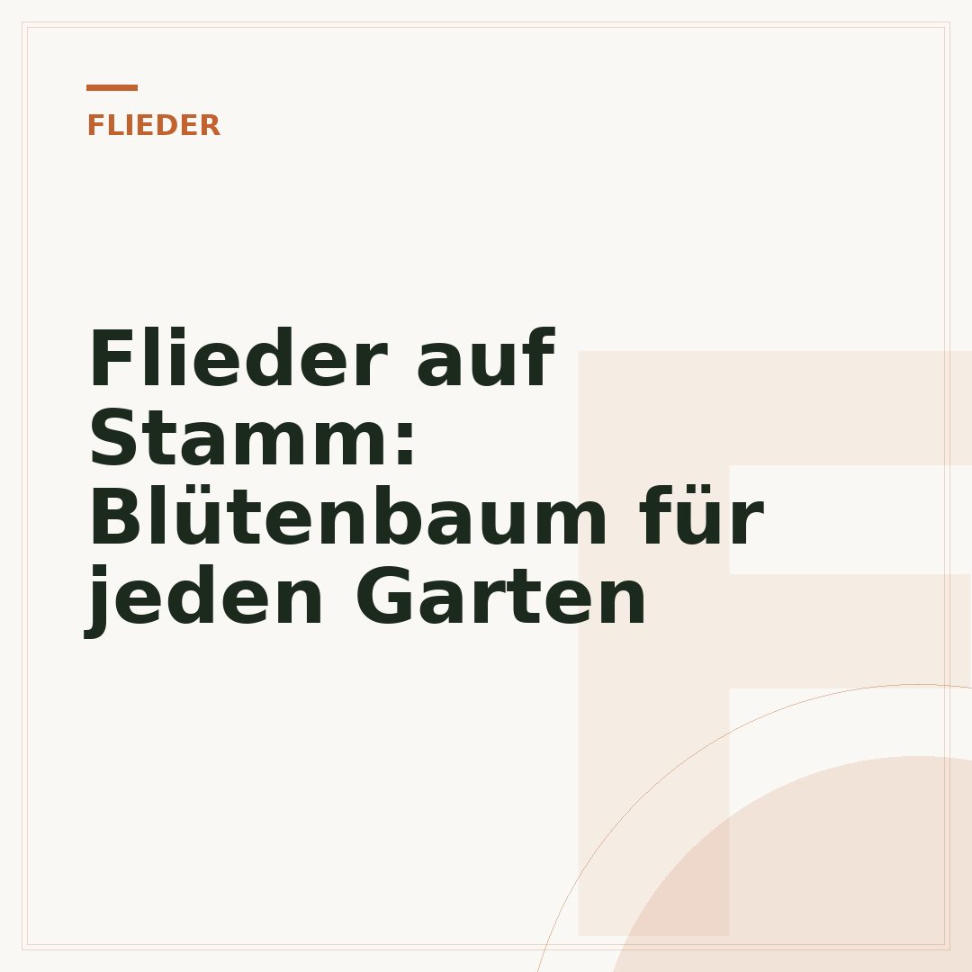 Flieder auf Stamm: Blütenbaum für jeden Garten
