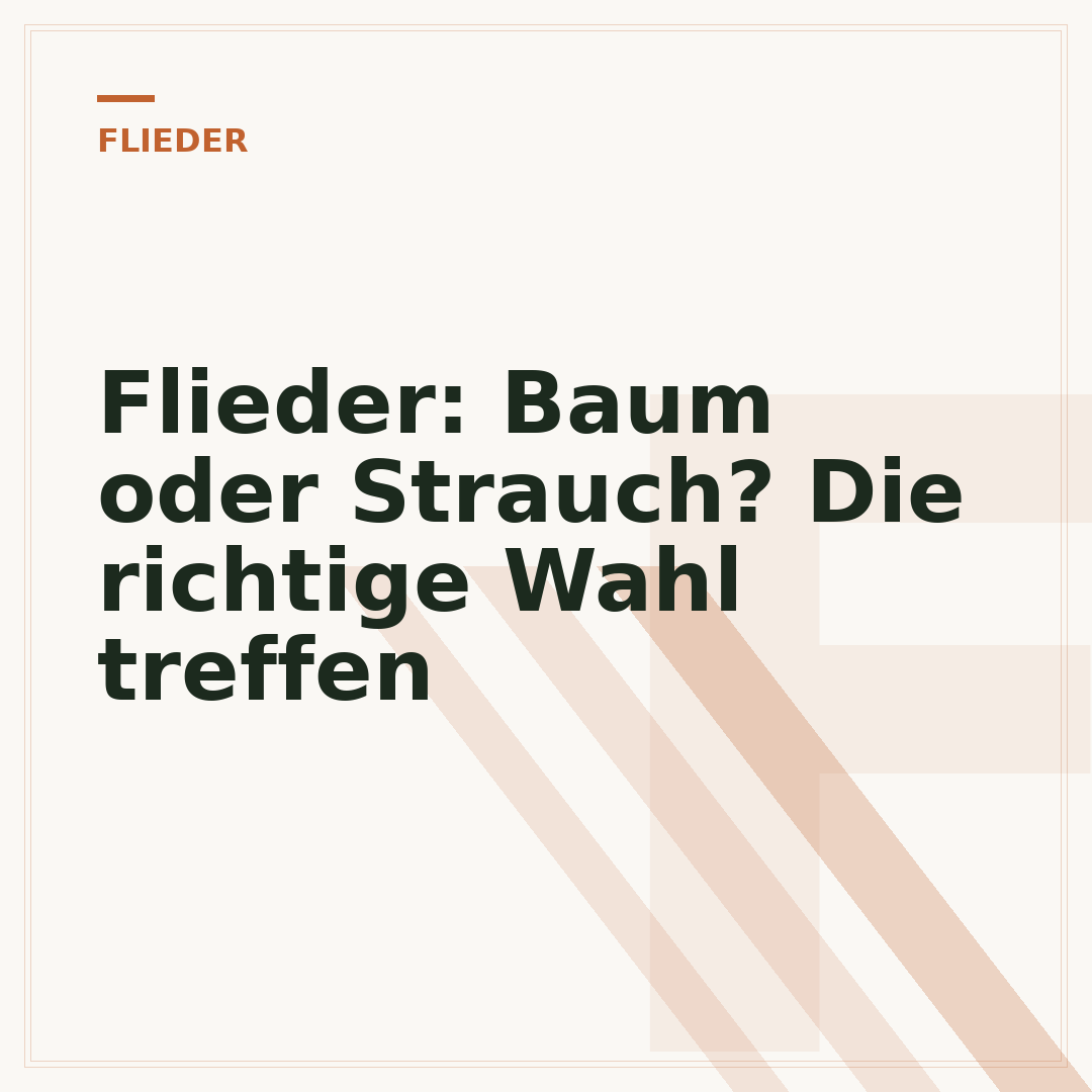 Flieder: Baum oder Strauch? Die richtige Wahl treffen
