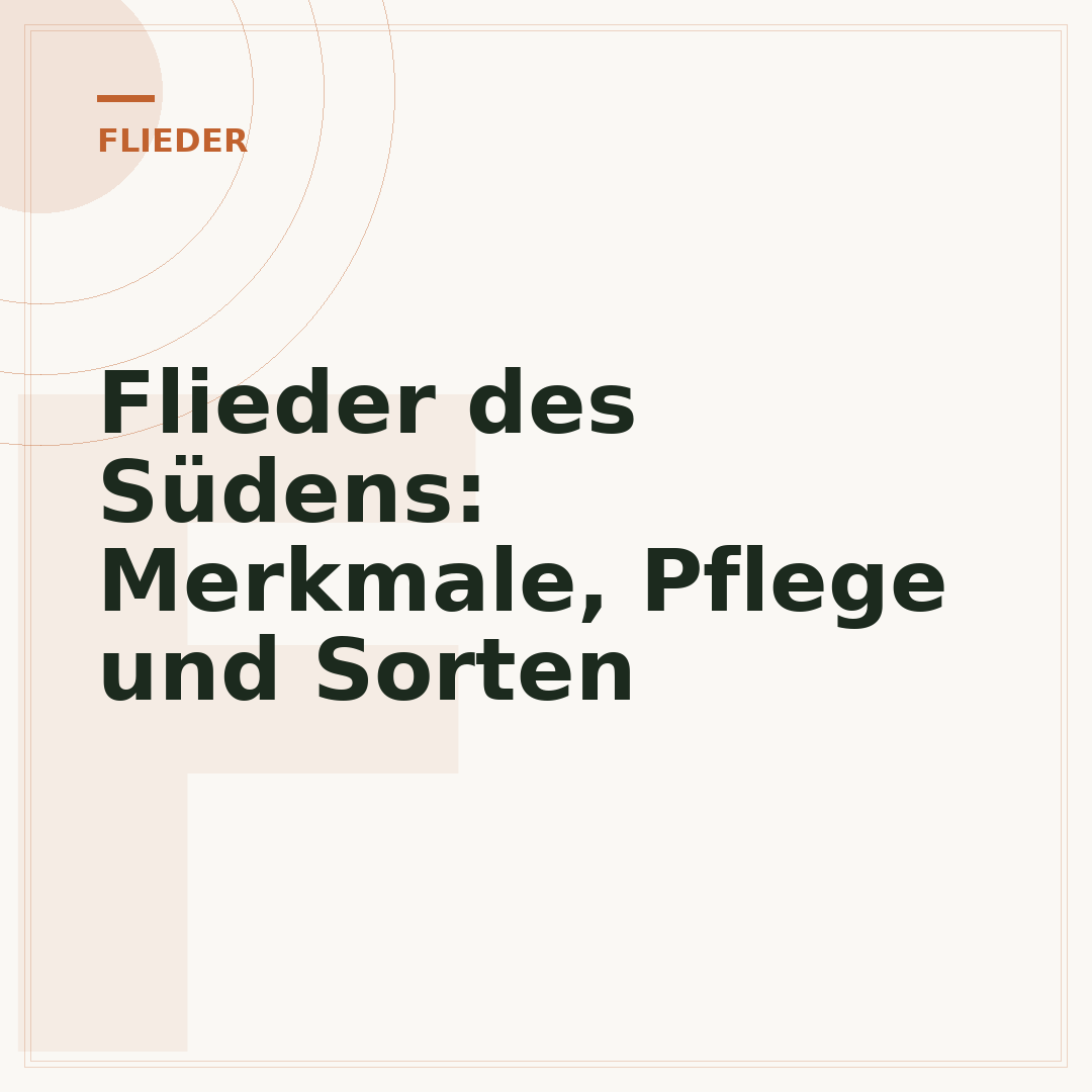 Flieder des Südens: Merkmale, Pflege und Sorten