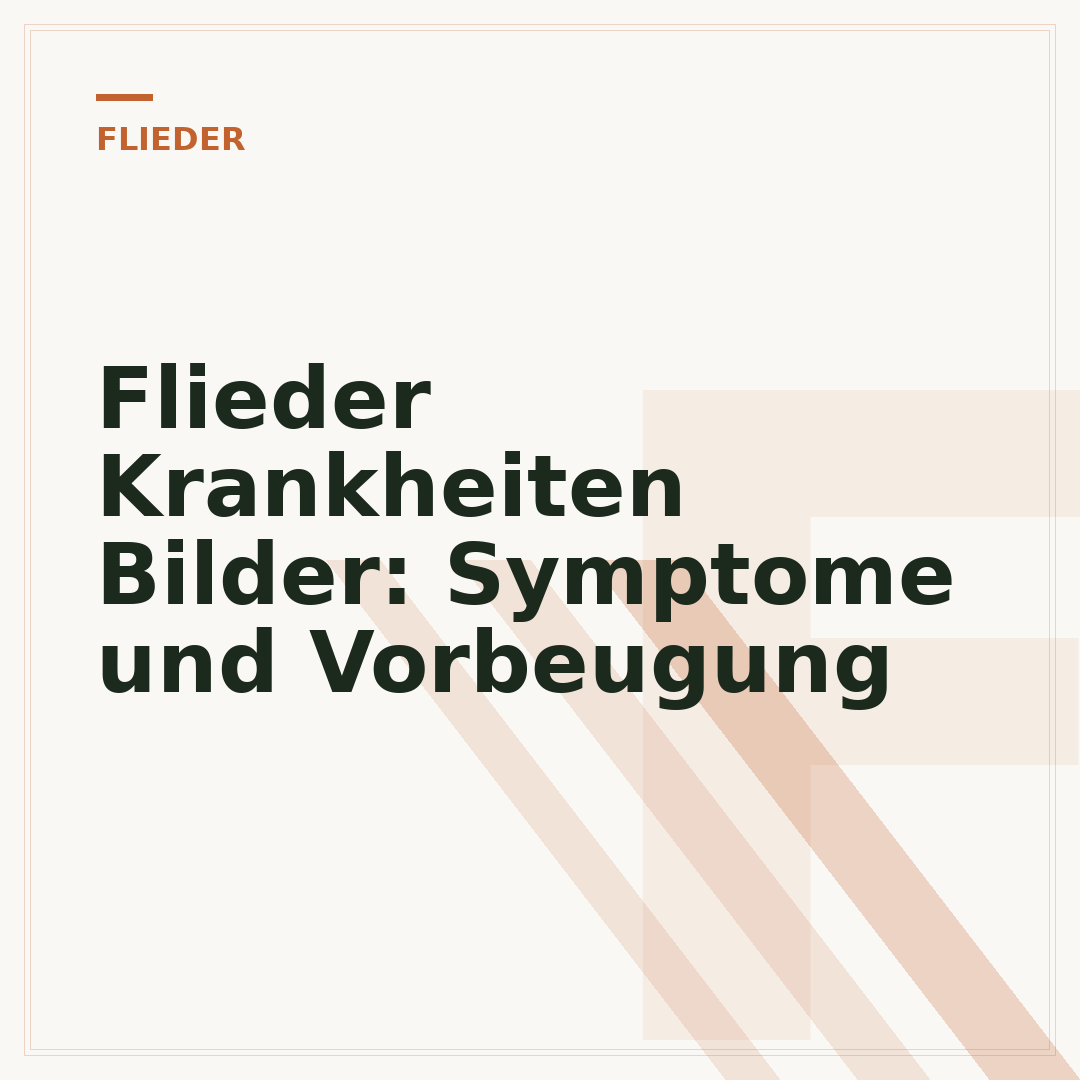 Flieder Krankheiten Bilder: Symptome und Vorbeugung