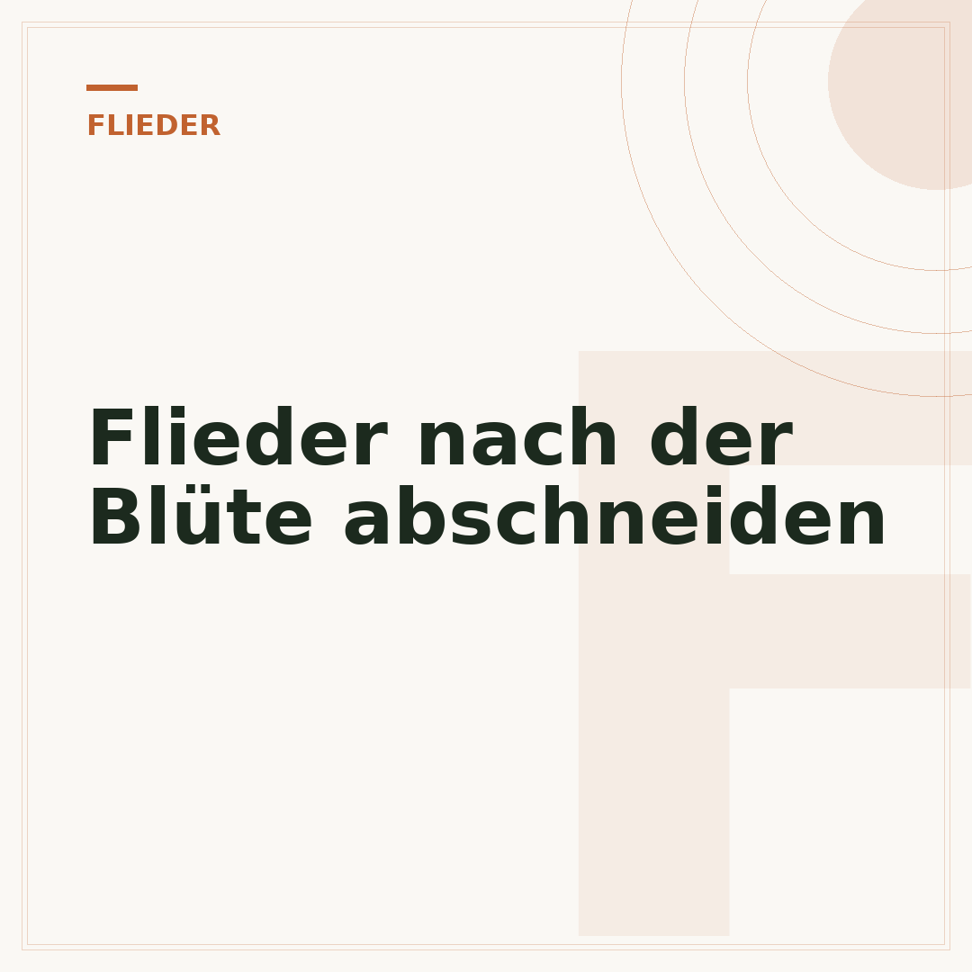 Flieder nach der Blüte abschneiden