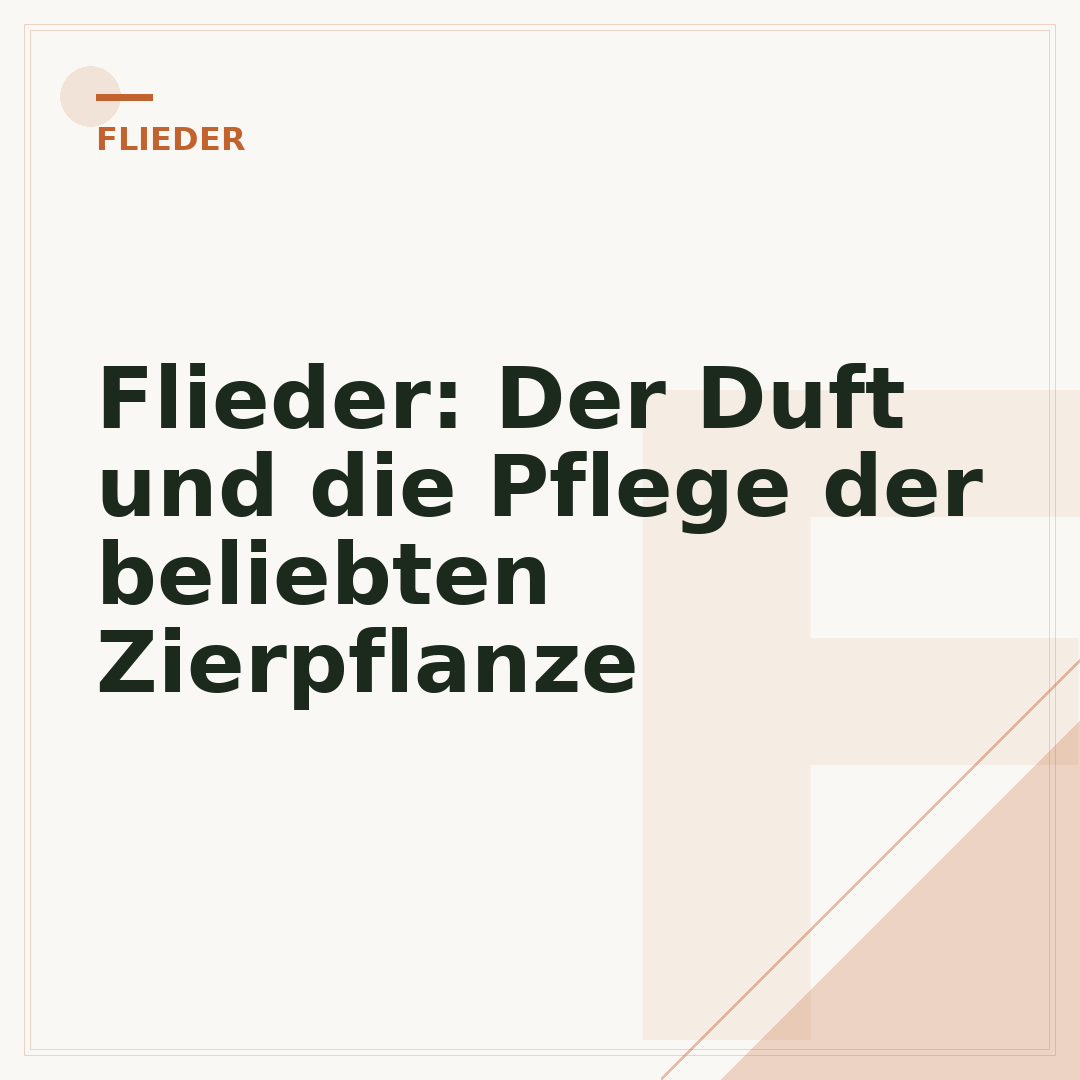 Flieder: Der Duft und die Pflege der beliebten Zierpflanze