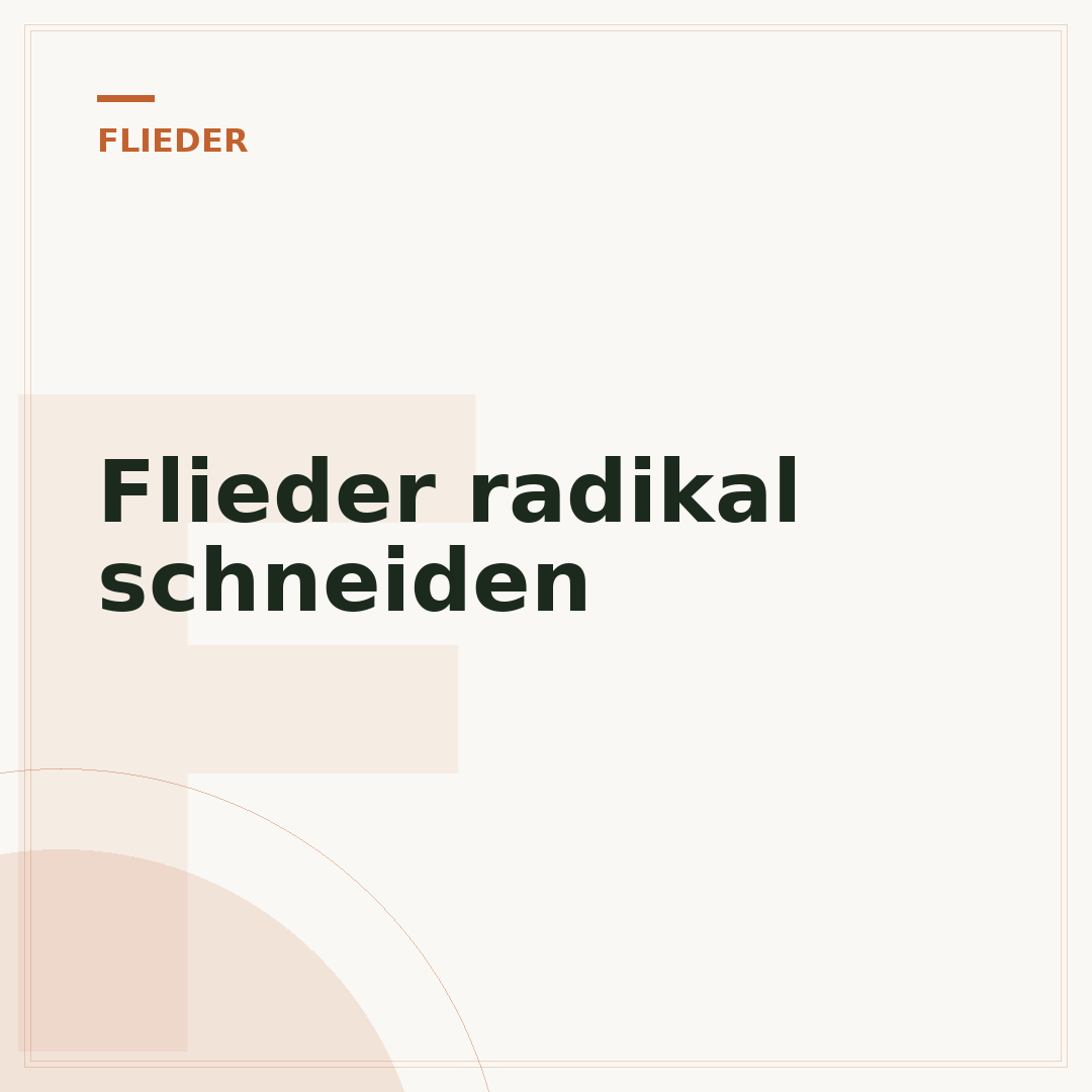 Flieder radikal schneiden