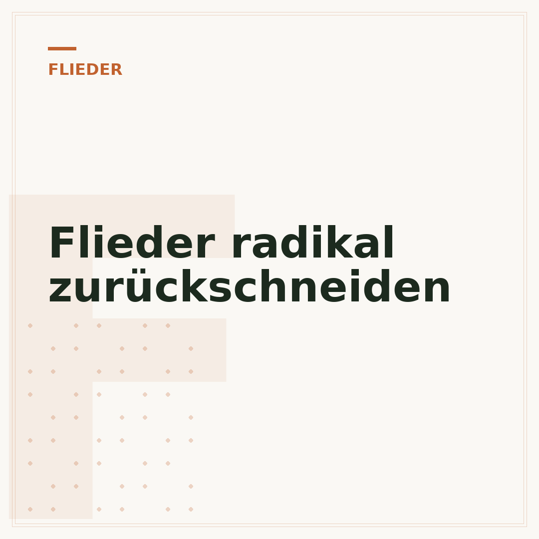 Flieder radikal zurückschneiden