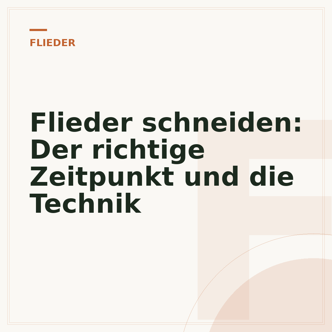 Flieder schneiden: Der richtige Zeitpunkt und die Technik