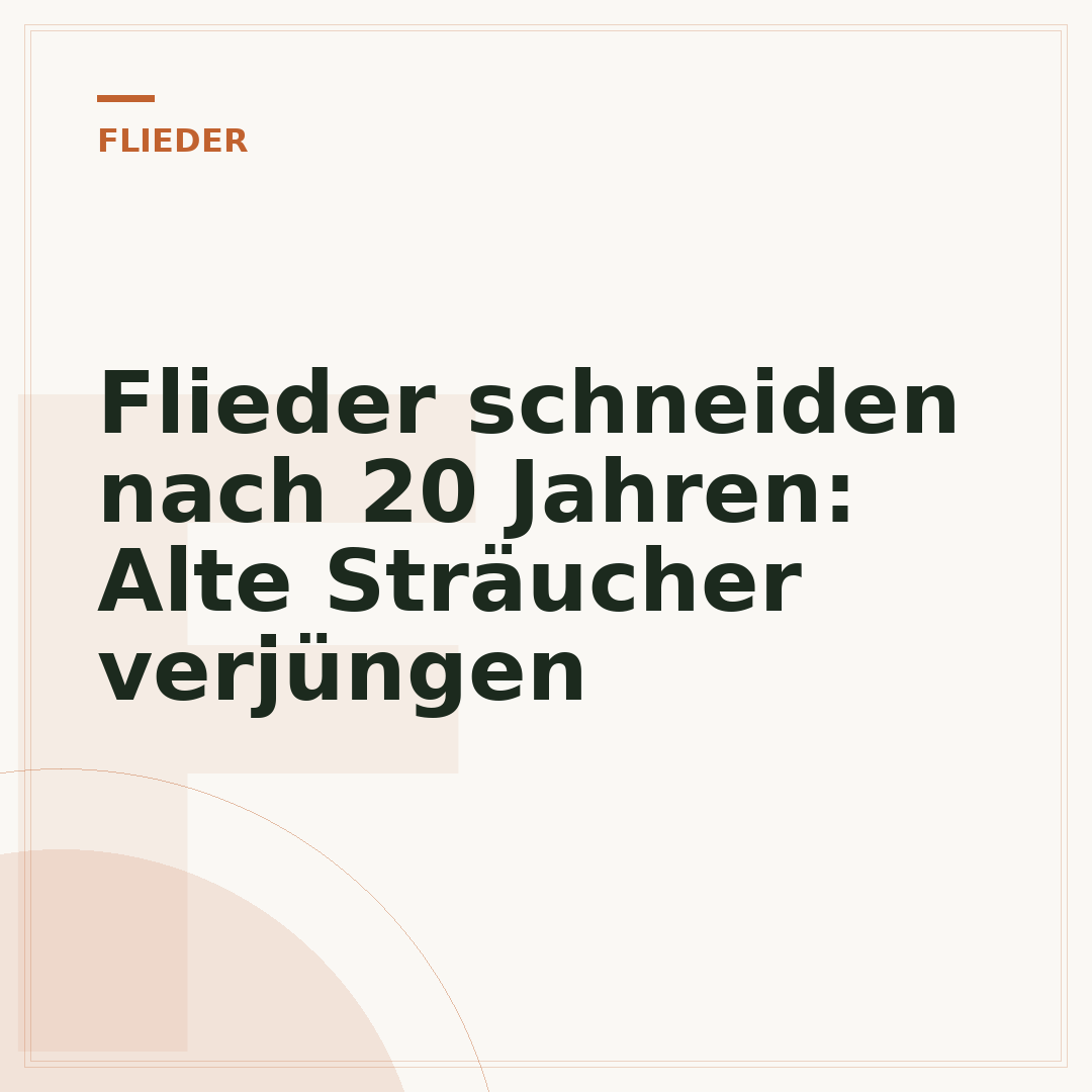 Flieder schneiden nach 20 Jahren: Alte Sträucher verjüngen