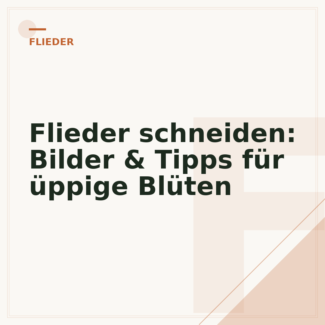 Flieder schneiden: Bilder & Tipps für üppige Blüten