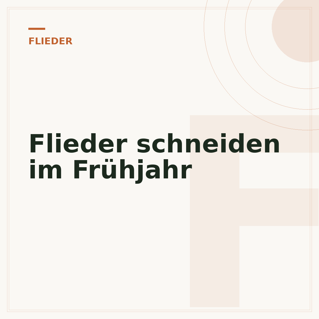 Flieder schneiden im Frühjahr