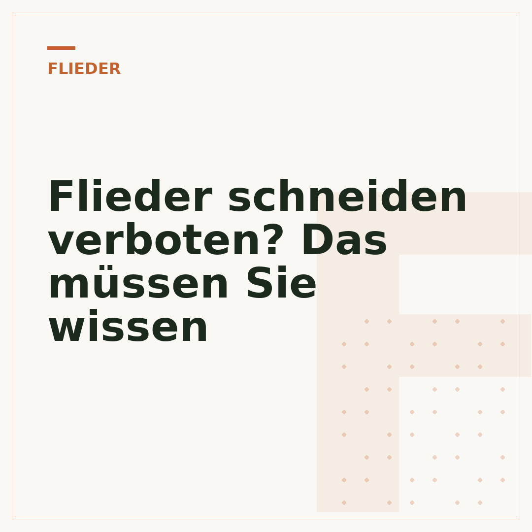 Flieder schneiden verboten? Das müssen Sie wissen