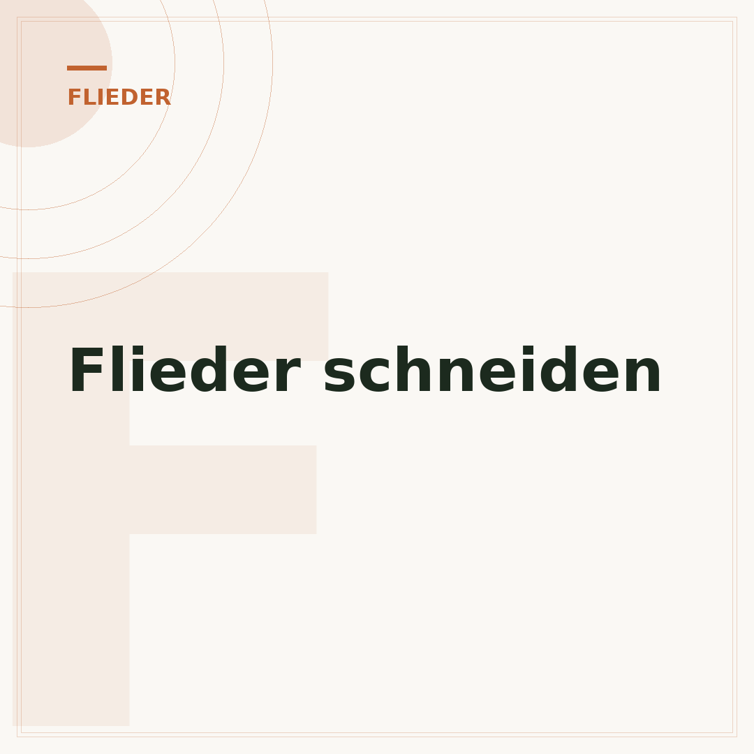 Flieder schneiden