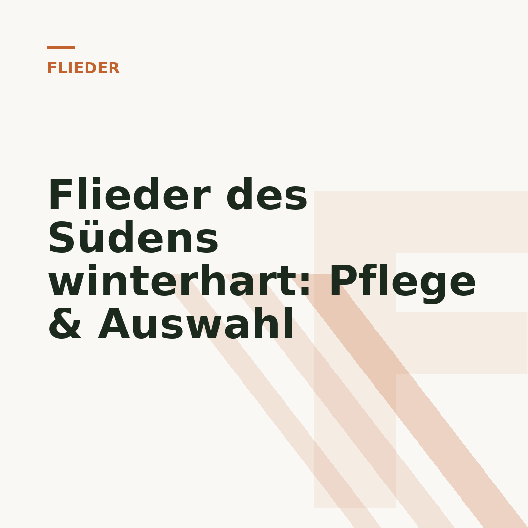 Flieder des Südens winterhart: Pflege & Auswahl