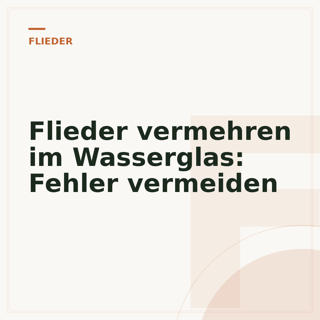 Flieder vermehren im Wasserglas: Fehler vermeiden