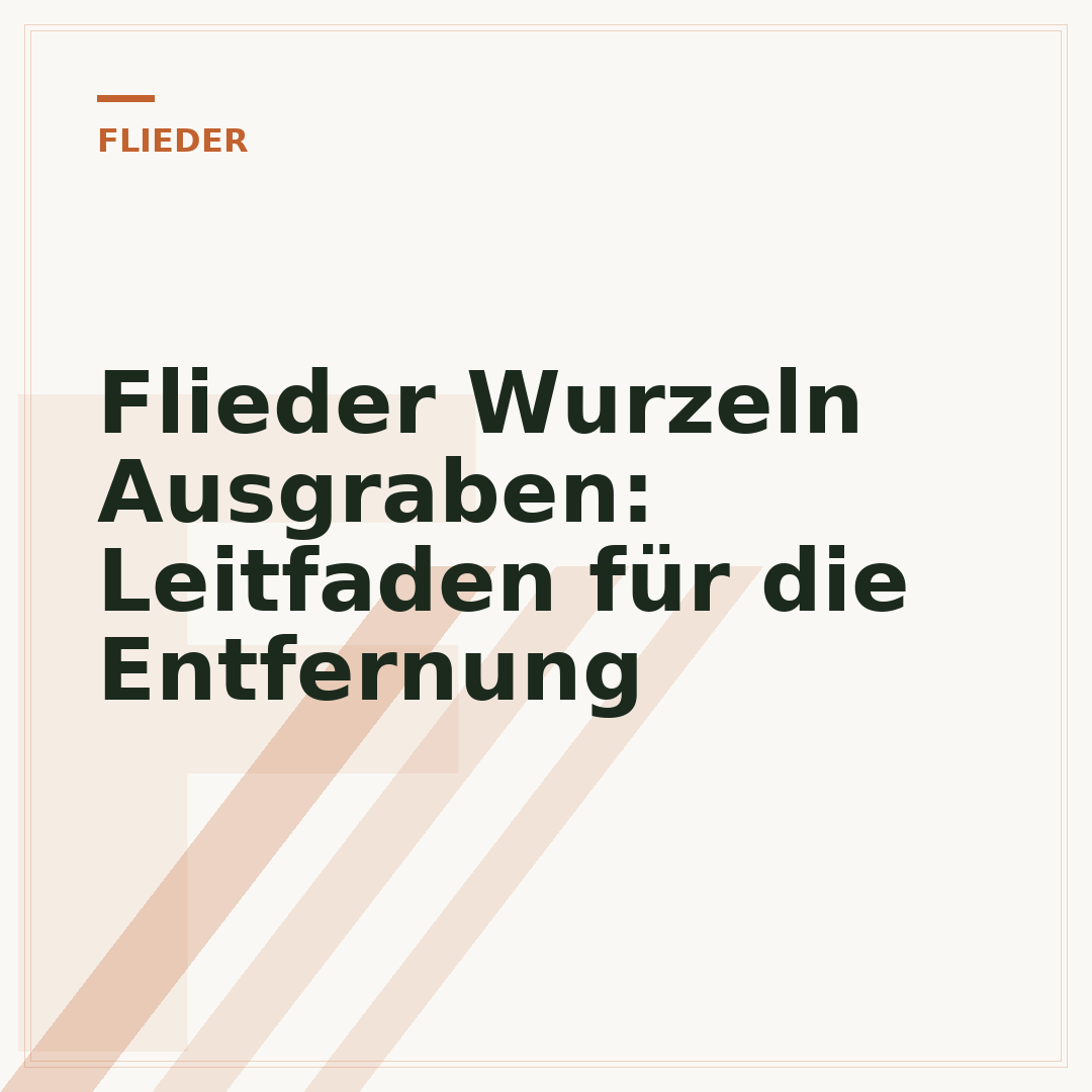 Flieder Wurzeln Ausgraben: Leitfaden für die Entfernung