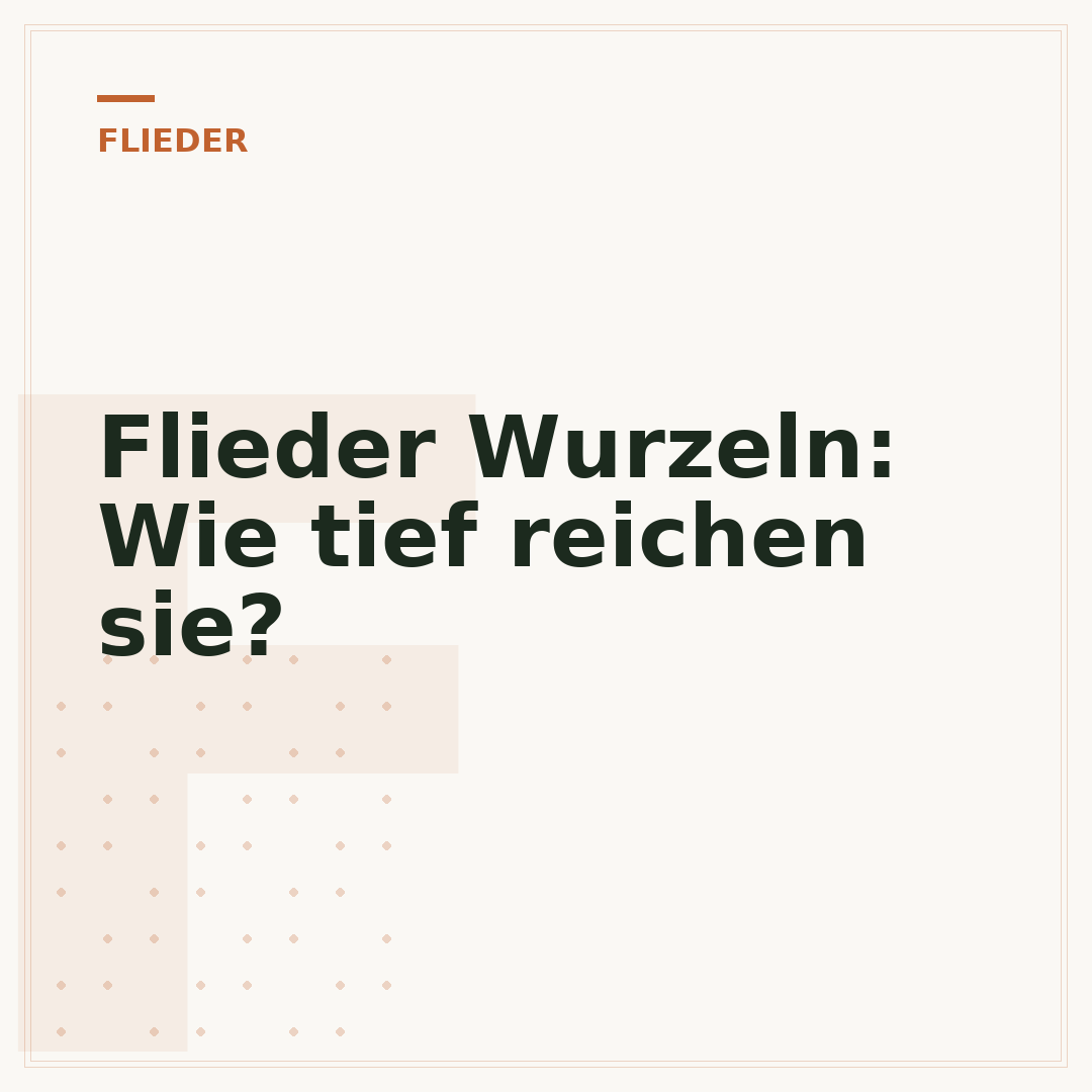 Flieder Wurzeln: Wie tief reichen sie?