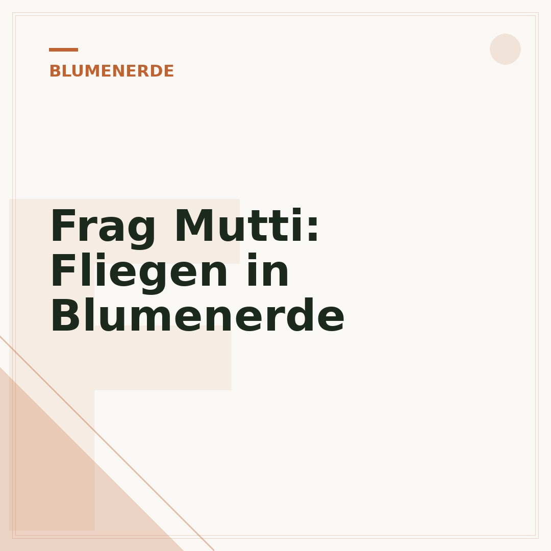 Frag Mutti: Fliegen in Blumenerde