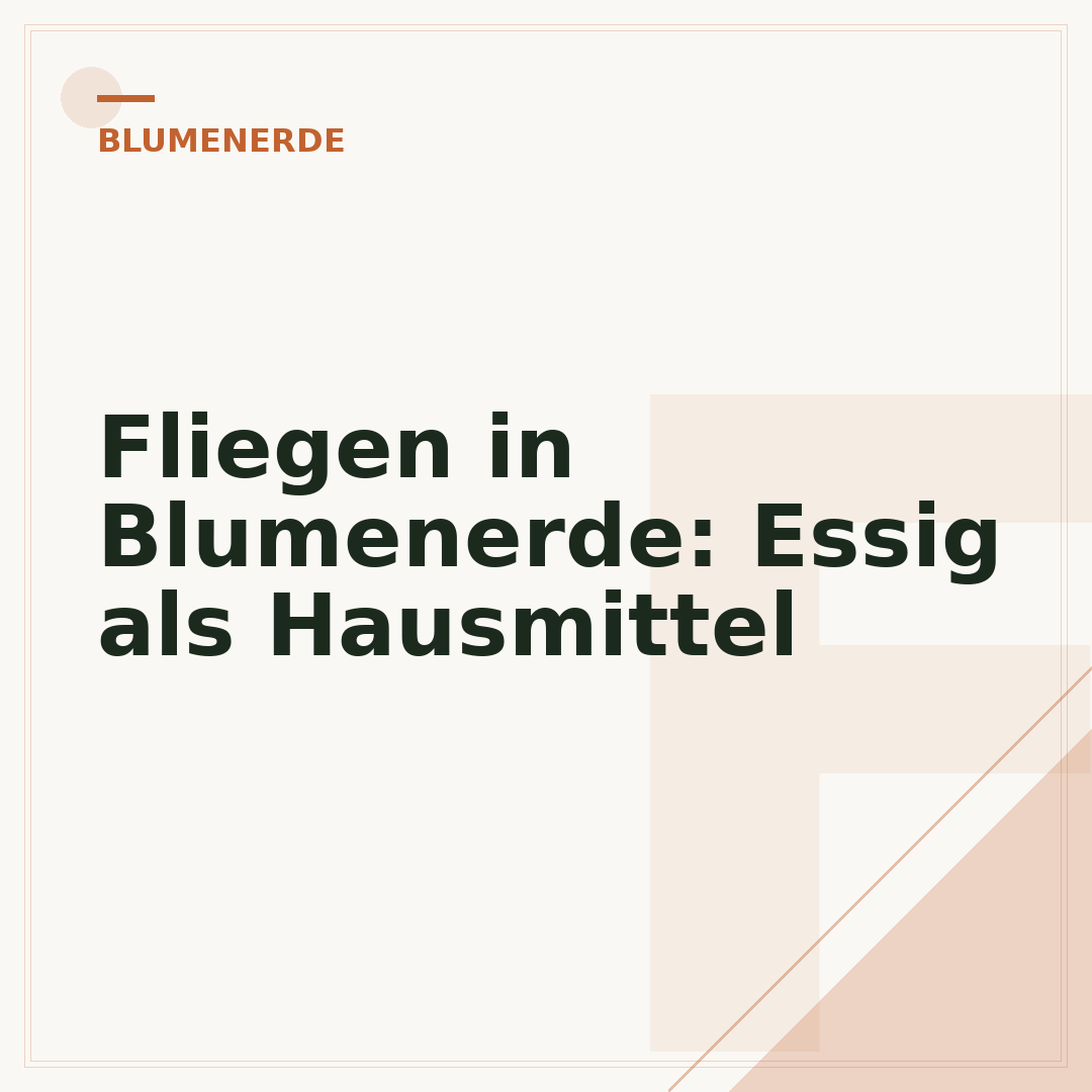 Fliegen in Blumenerde: Essig als Hausmittel