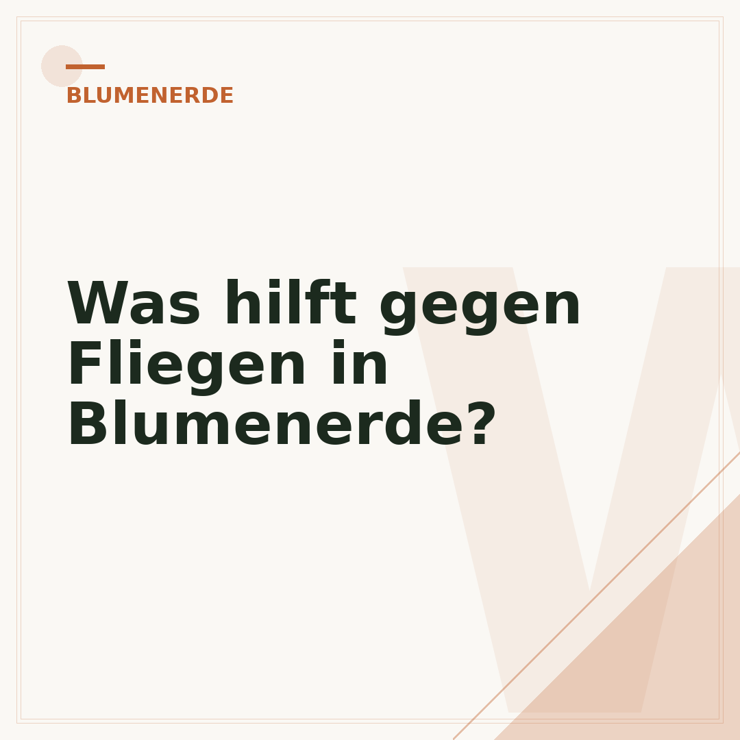 Was hilft gegen Fliegen in Blumenerde?