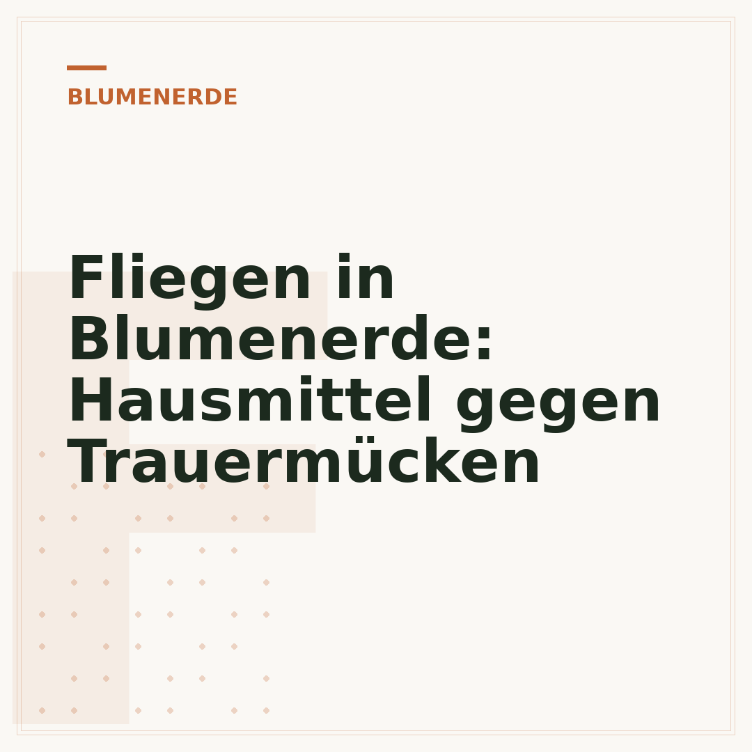 Fliegen in Blumenerde: Hausmittel gegen Trauermücken