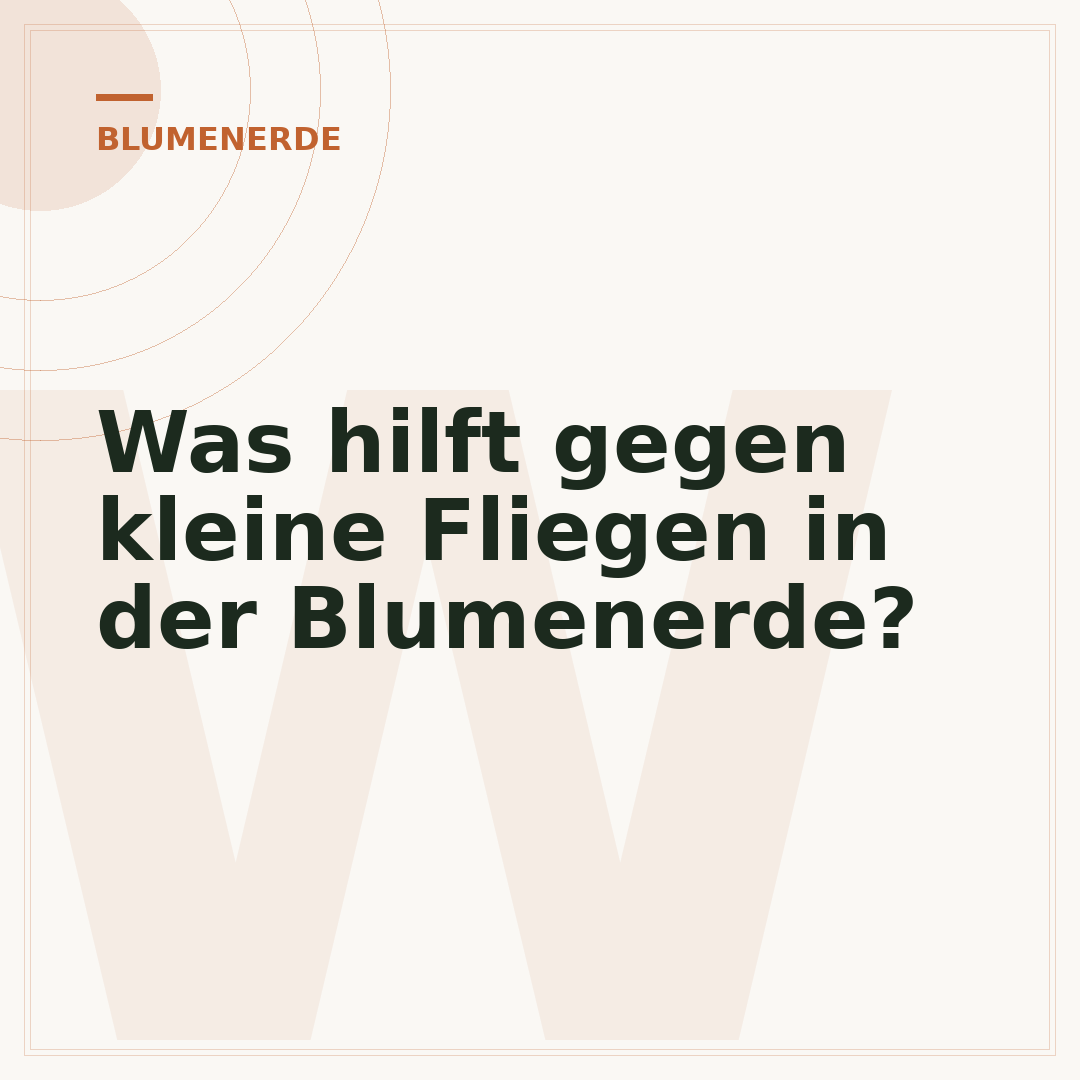 Was hilft gegen kleine Fliegen in der Blumenerde?