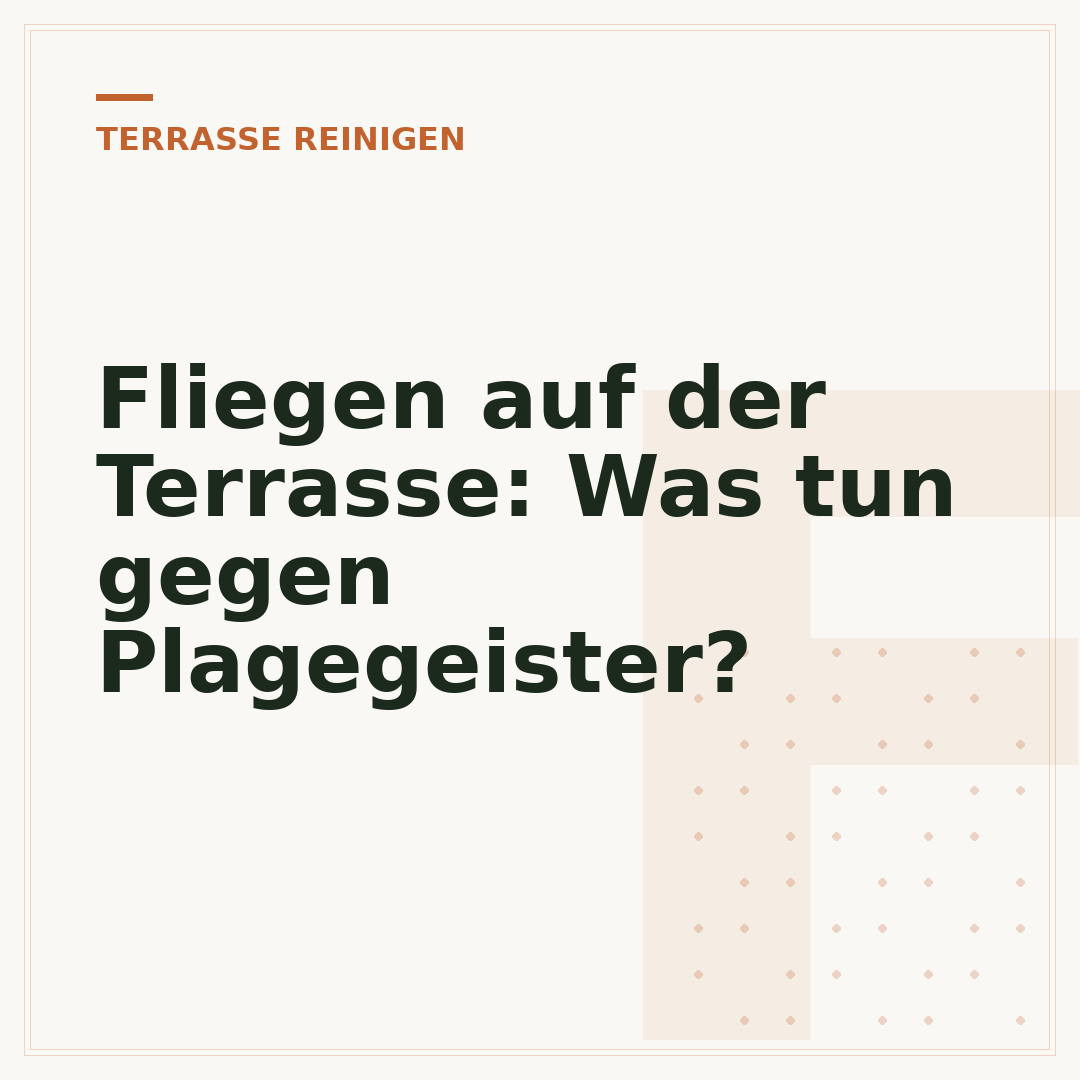Fliegen auf der Terrasse: Was tun gegen Plagegeister?